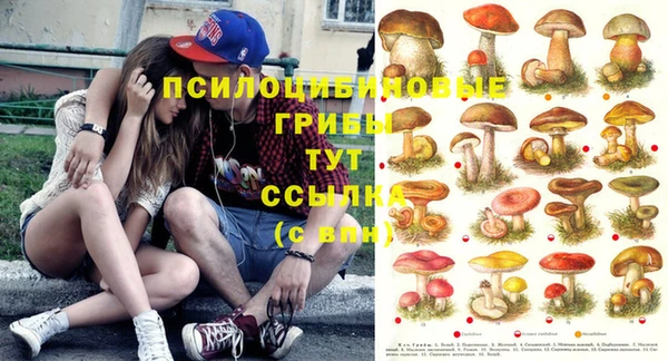 MDMA Алексеевка